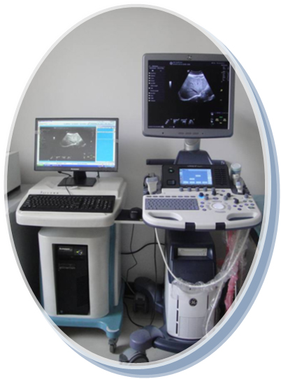 鸿运国际·(中国)最新官方网站
